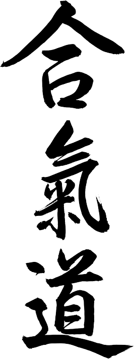 Айкидо Тула